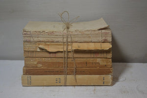 Antique French Tattered Old Book Bundle Paris Edition