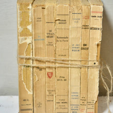 Load image into Gallery viewer, Antique French Tattered Old Paris Book Bundle