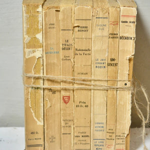 Antique French Tattered Old Paris Book Bundle