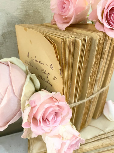 Antique French Tattered Old Paris Book Bundle